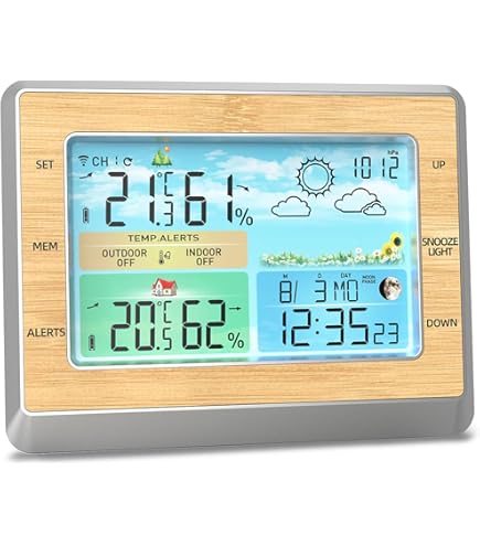 Amazon.co.jp: EMPEX (エンペックス) 気象計 温度湿度計 ウェザーパル